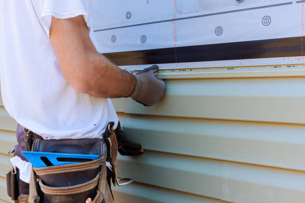 Best Vinyl Siding Installation  in Fmington, AR